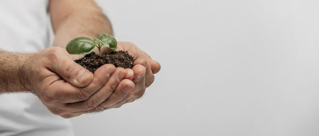 Behutsam in Händen gehaltene Erde, aus der ein junger Pflanzensetzling wächst.