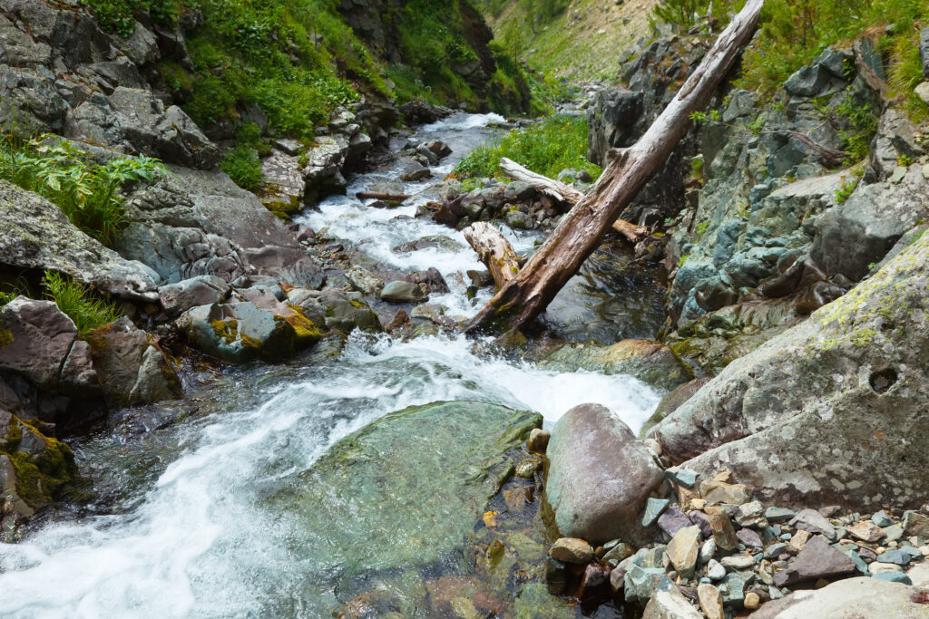Klares, reines Wasser eines Gebirgsbachs fließt über Felsen und moosbewachsene Steine in der Natur.